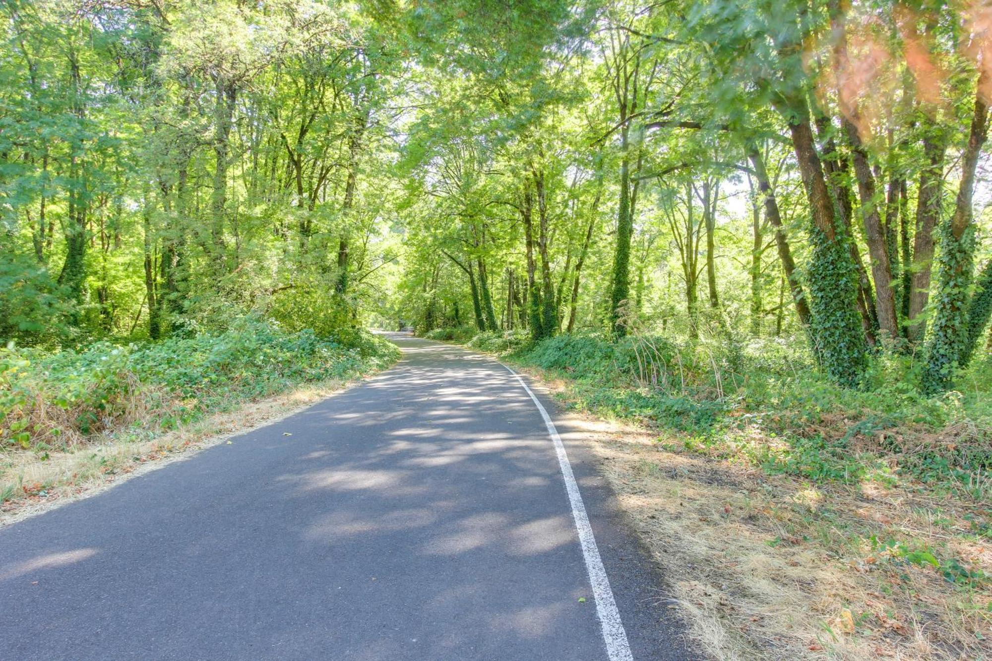 Pet-Friendly Home With Grill, 2 Mi To Autzen Stadium スプリングフィールド エクステリア 写真